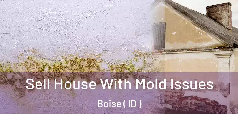  Sell House With Mold Issues Boise ( ID )